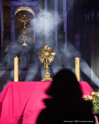 Eine Monstranz zeigt das Allerheiligste. Foto: kna/ CIRIC/Corinne Simon