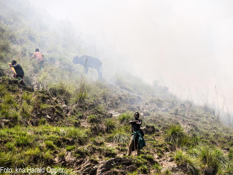 Foto: kna/Harald Oppitz