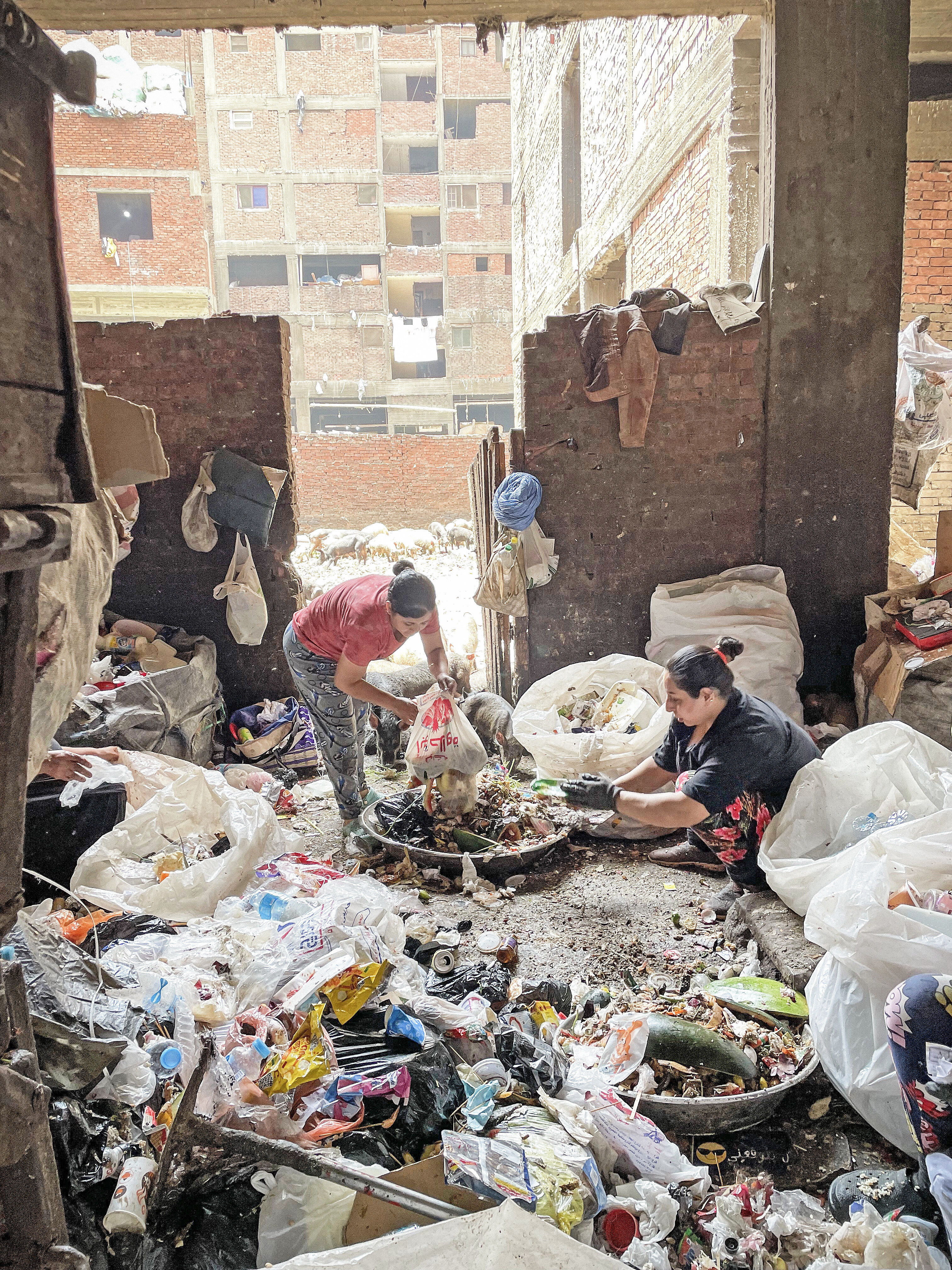 Kairo, Müll-Recycling