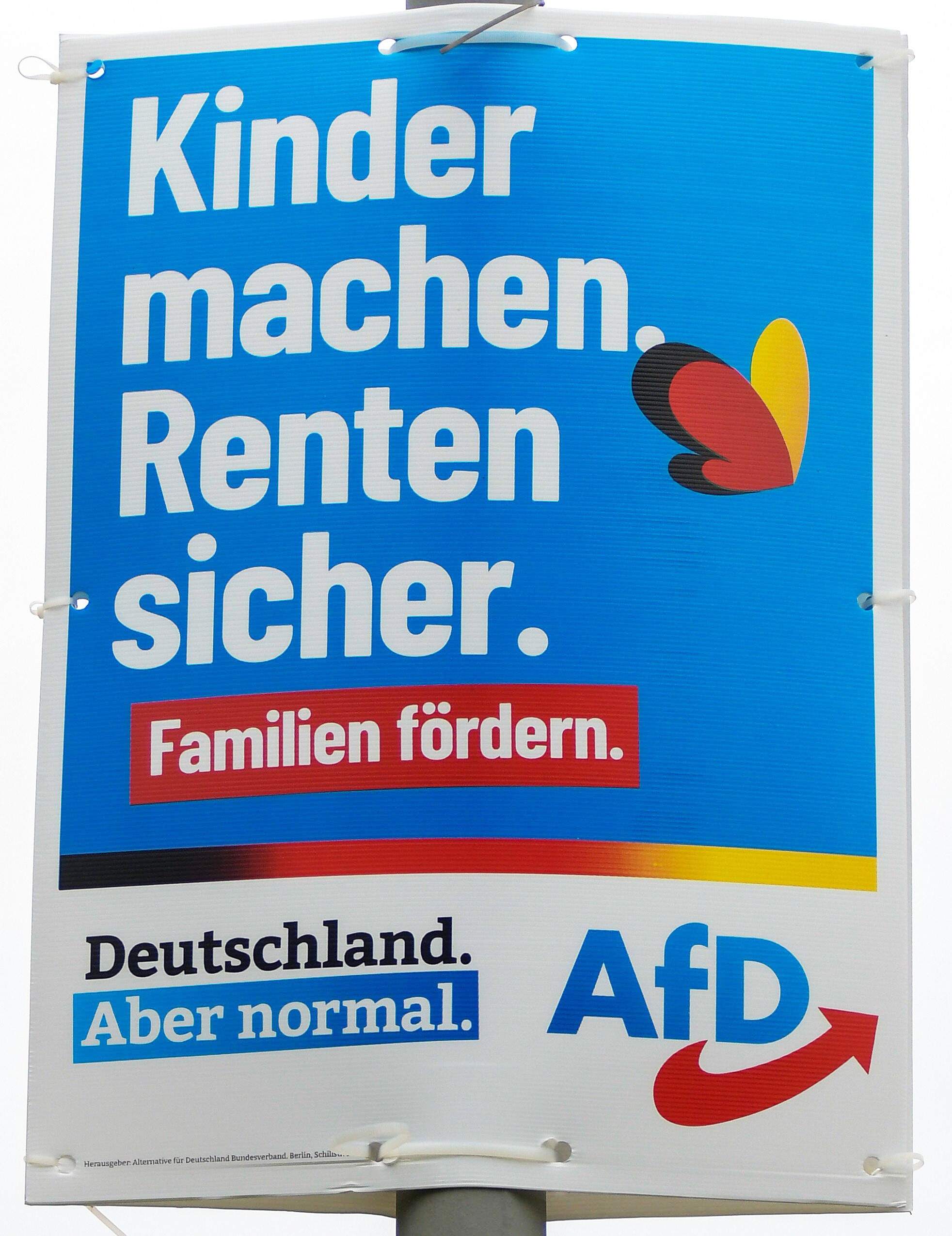 Wahlplakat der AfD