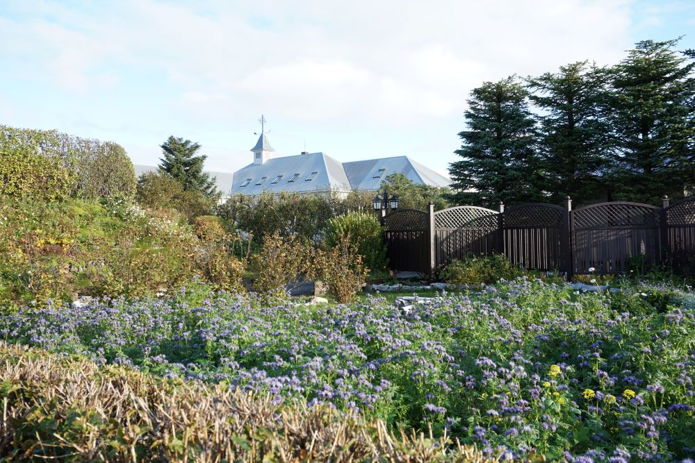 Klostergarten Island
