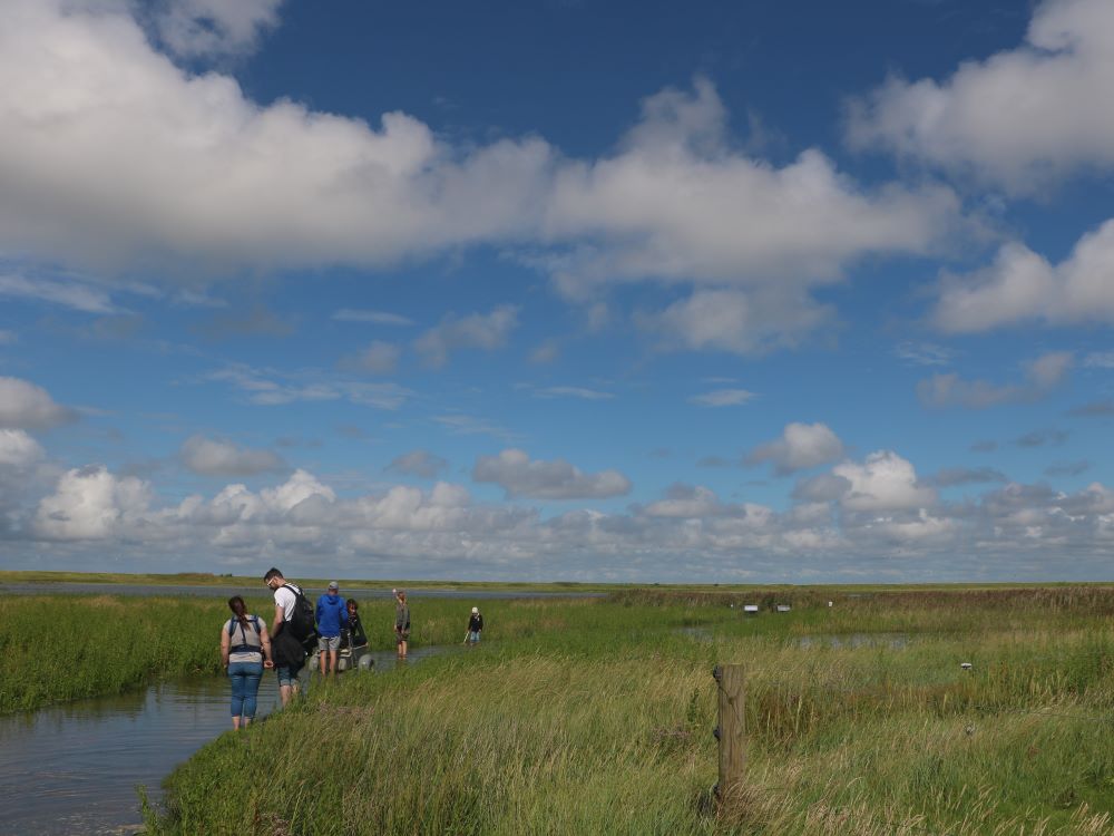 Eine Familie steht mit hochgekrempelten Hosenbeinen auf dem überfluteten Weg