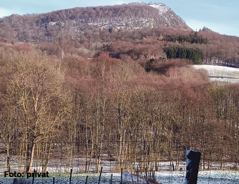 „Vereint mit allem, was ist“