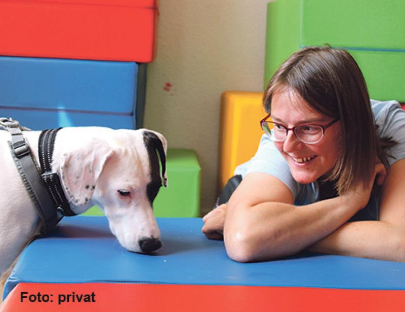 Der Hund öffnet eine Tür, durch die der Mensch gehen kann