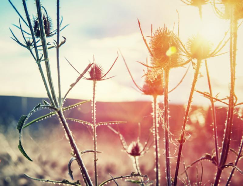 „Mehr als du siehst“