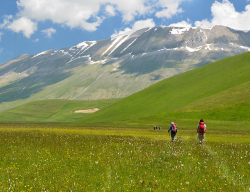 Die Mischung macht’s