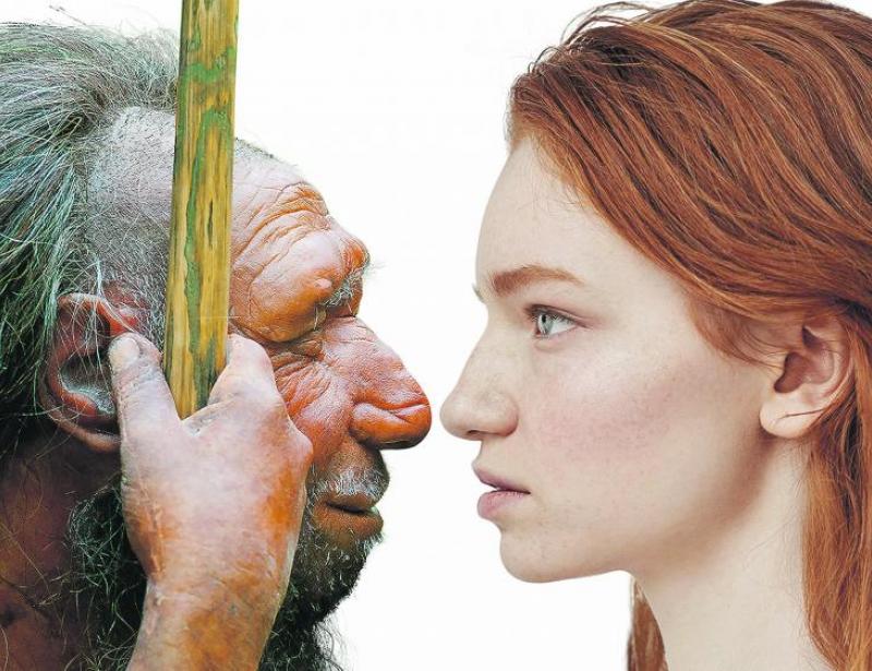 Der moderne Mensch ist ein Migrant