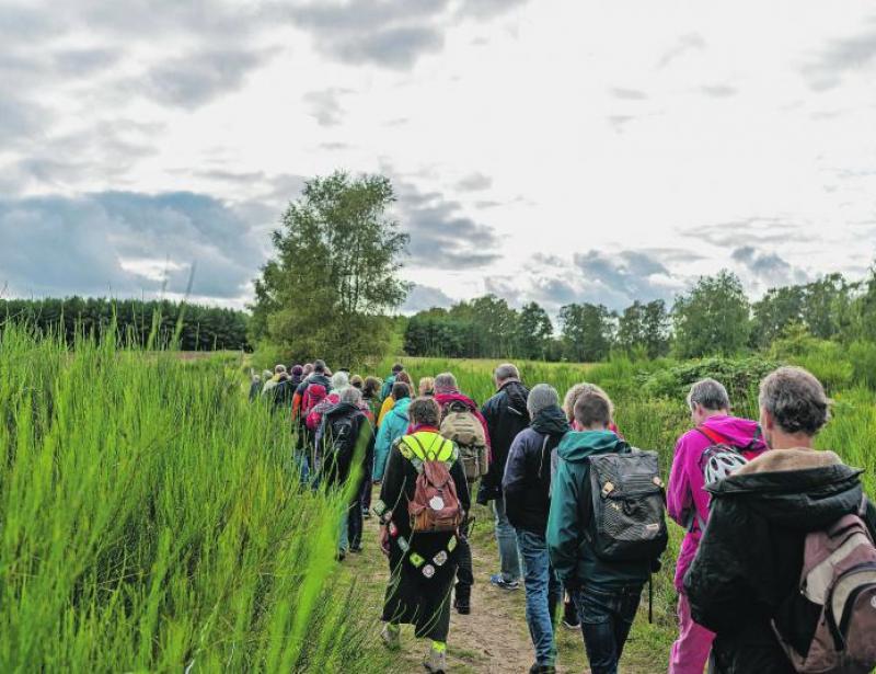 Auf dem Weg zum Brocken