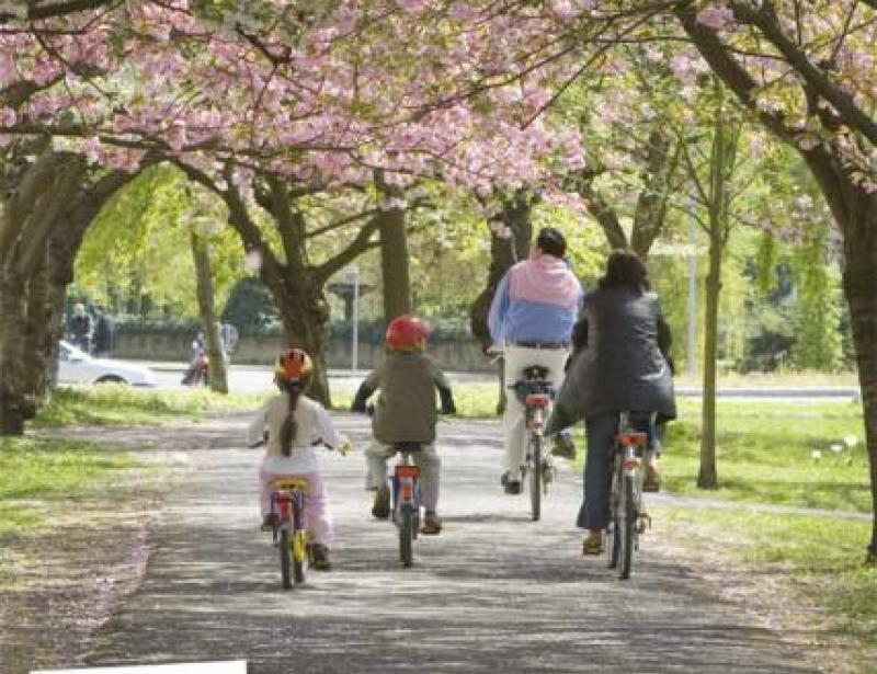 Das Tuch auf dem Gesicht beim Tod des Papstes