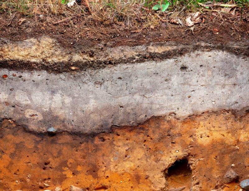 Guter Boden ist ein Fest für die Sinne