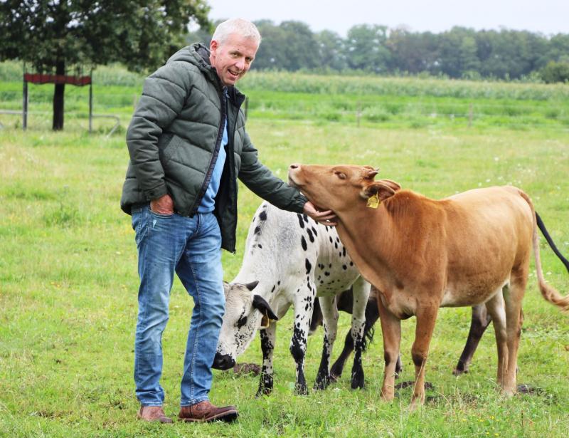 Noch einer spielt mit