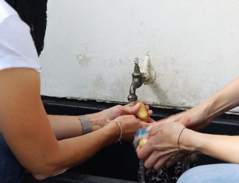 Gemüse aus dem Garten