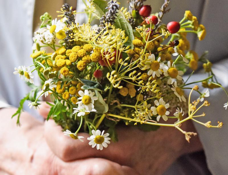 Die Gabe der Brennessel