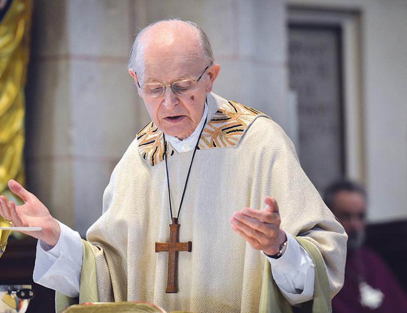 „Wir sind gottverwandt“