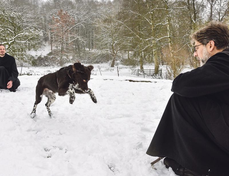 Fiete mischt das Kloster auf