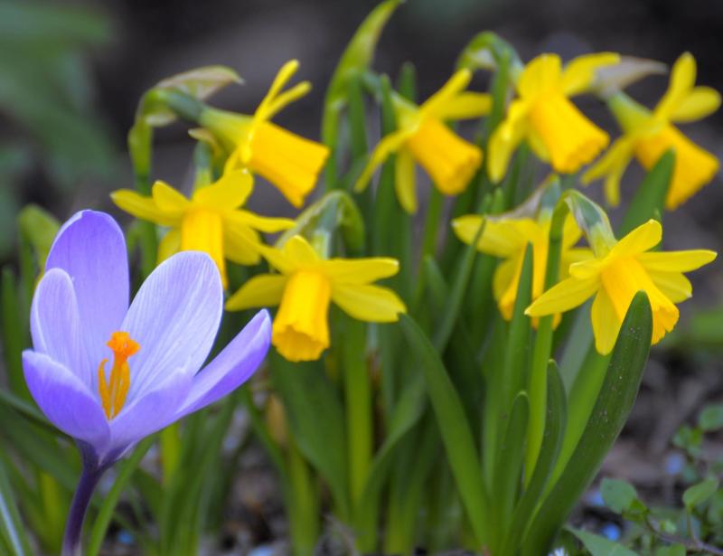 Holt die Fastenfreude zurück!