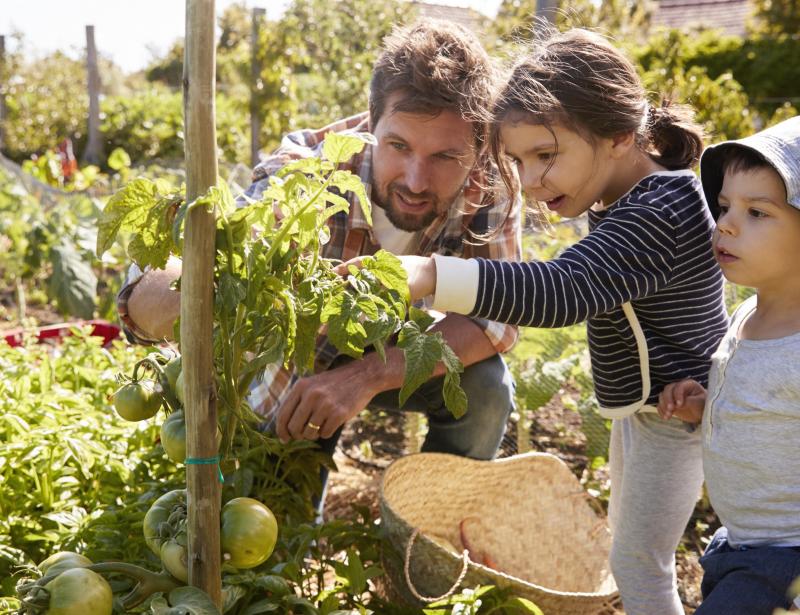 Kinder wollen gesehen werden
