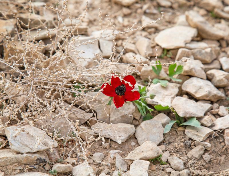 Allein mit der Liebe