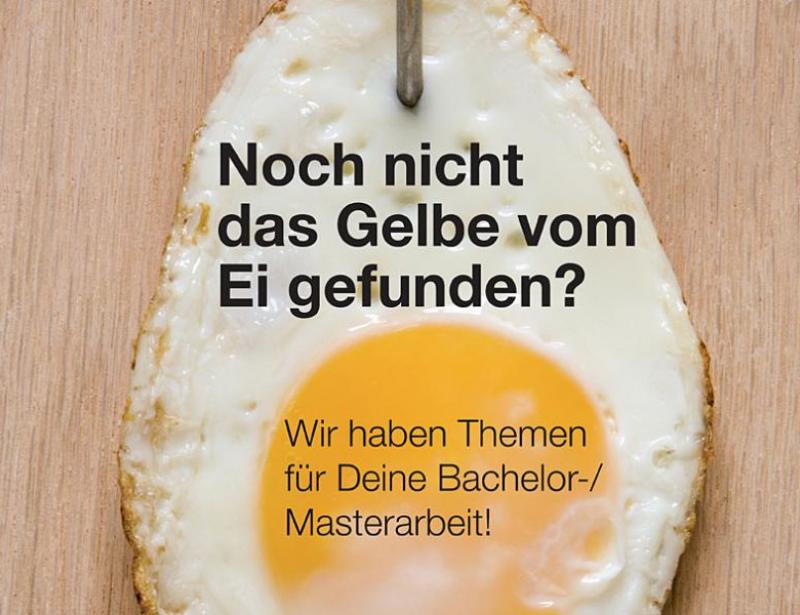 Passende Partner gesucht