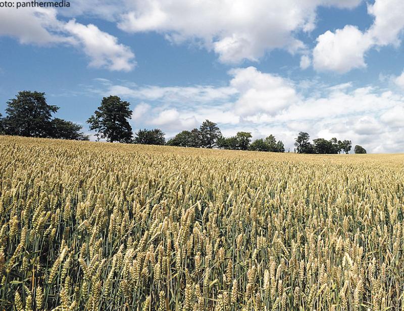 Bischöfe bekunden Solidarität mit Landwirten