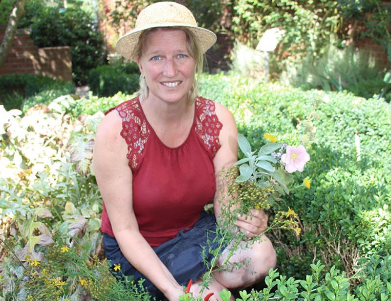 Mit Malve und Mädesüß