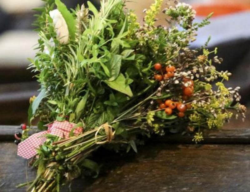 Mit Salbei und Kamille