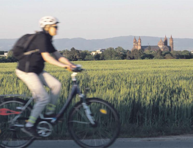 Was Sie schon immer über den Wormser Dom wissen wollten