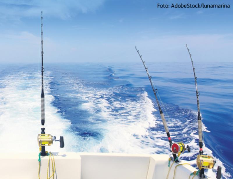 Das Internet: Ein Ort, um Haltung zu zeigen