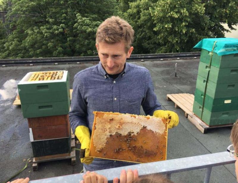 Es summt auf dem Schuldach