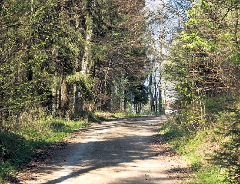 Mit Zuversicht auf Gott vertrauen