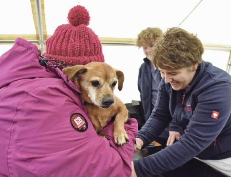 Hilfe für Zwei- und Vierbeiner