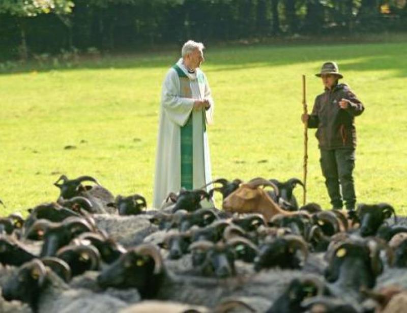 Ein Segen für über 320 Tiere