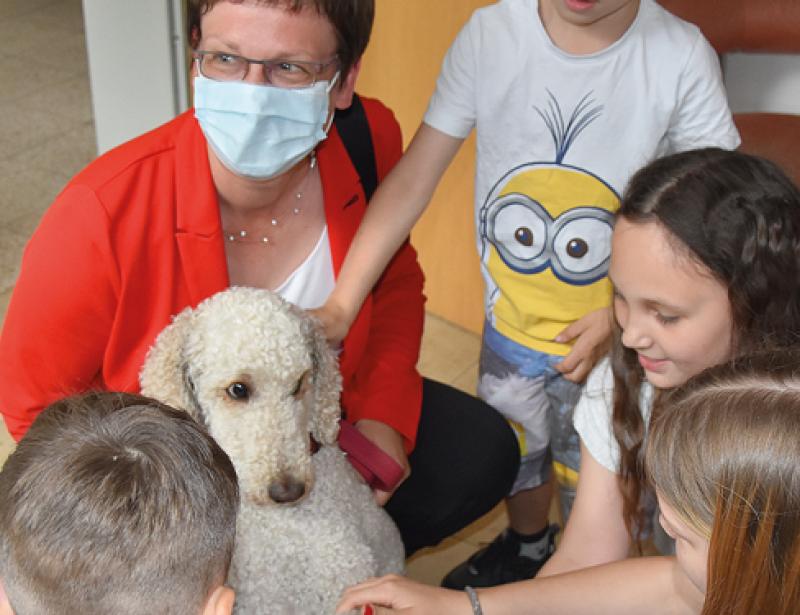 Ein Ölbaumzweig der Hoffnung