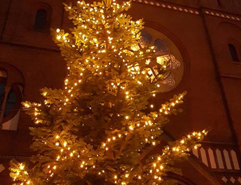 Kleiner und kürzer, dafür öfter