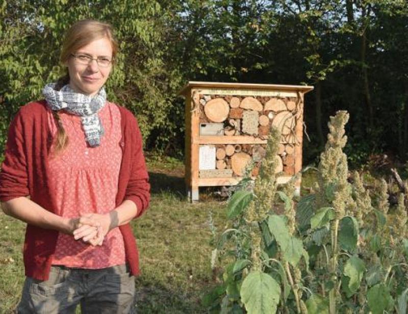 Beten um gute  Wege aus der Klima-Misere