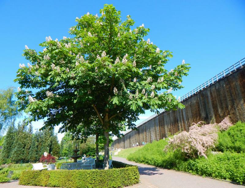 Salzige Luft zur Erholung 