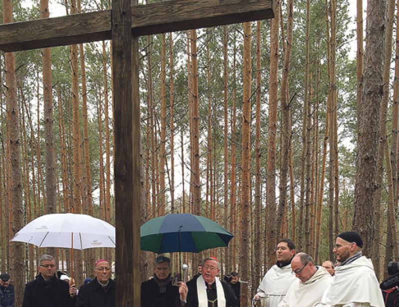 Zeichen der Hoffnung