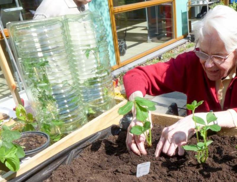 Ikonen, Briefe, Telefonate