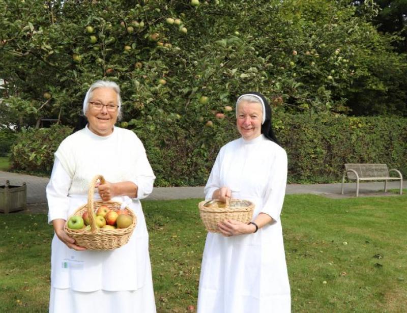 Apfelernte im St. Adolf-Stift