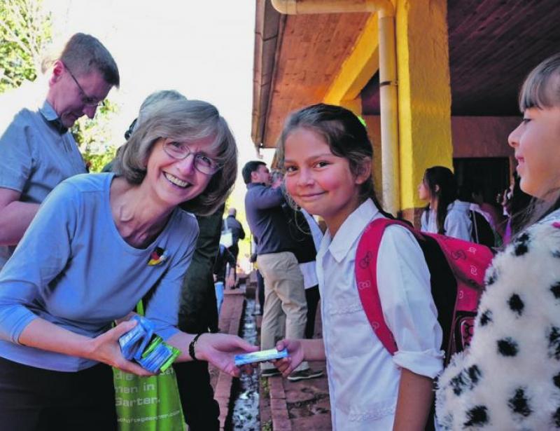 Eine kleine Pflanze wächst