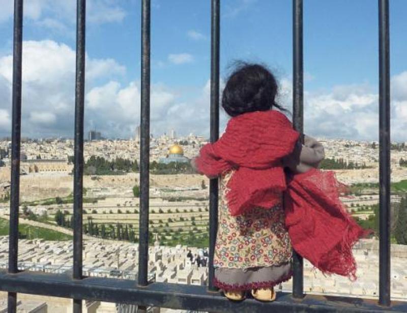 Dem Leben auf den Grund gehen