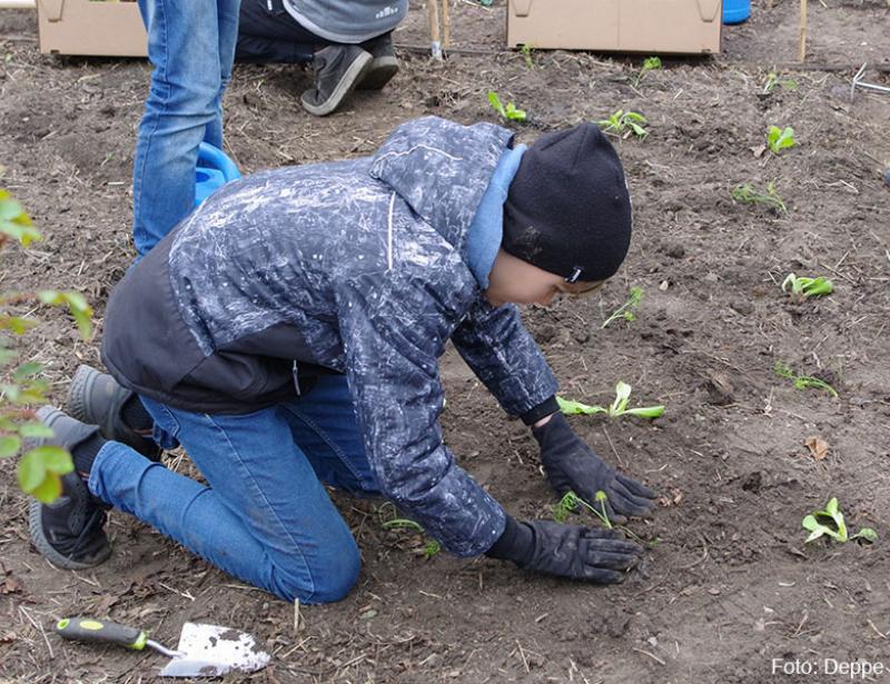 „Ackern“ im Schatten von St. Godehard