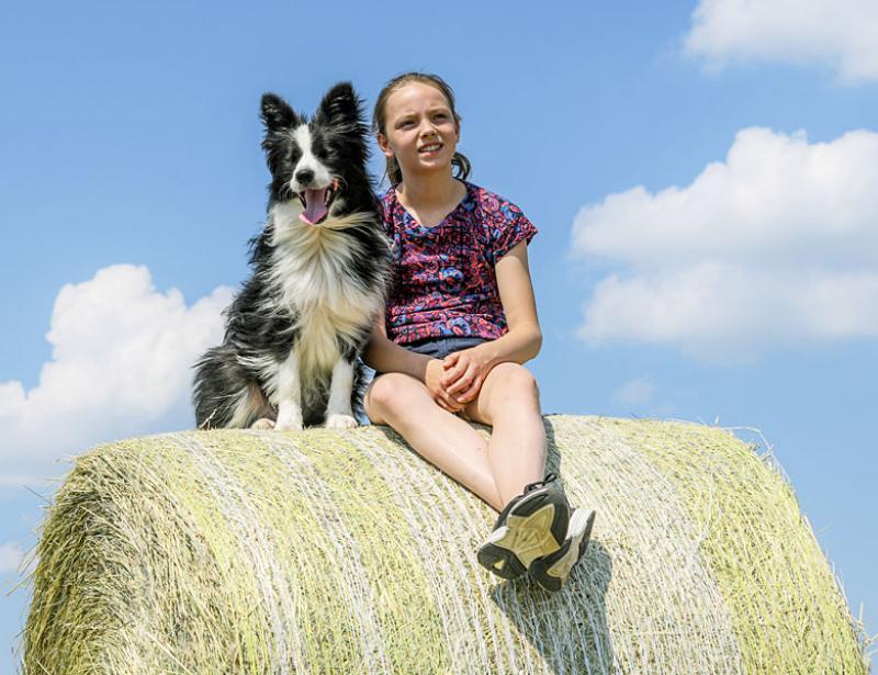 Auf den Hund gekommen