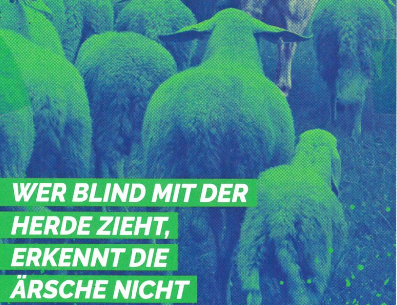 „Schon eine krasse Gelegenheit"