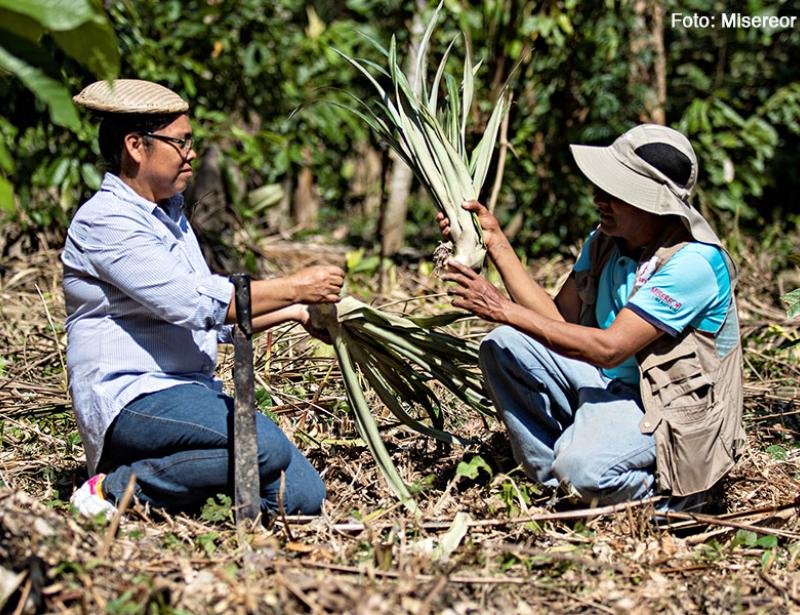 Die Lücke zwischen Theorie und Praxis