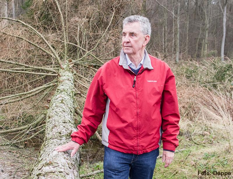 Kolping setzt sich ein für Klima- und Biodiversität