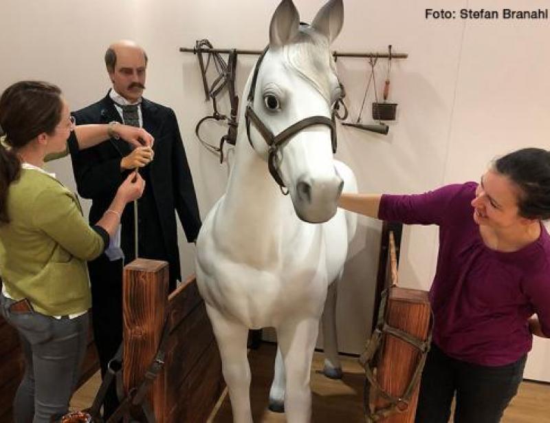 Die spannenden Seiten der Seuchen