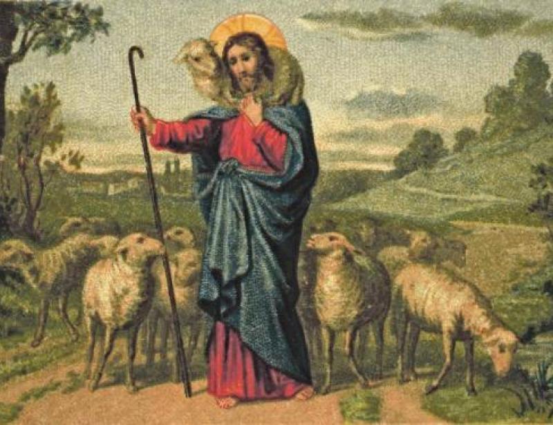 Nähren, wachen, heilen