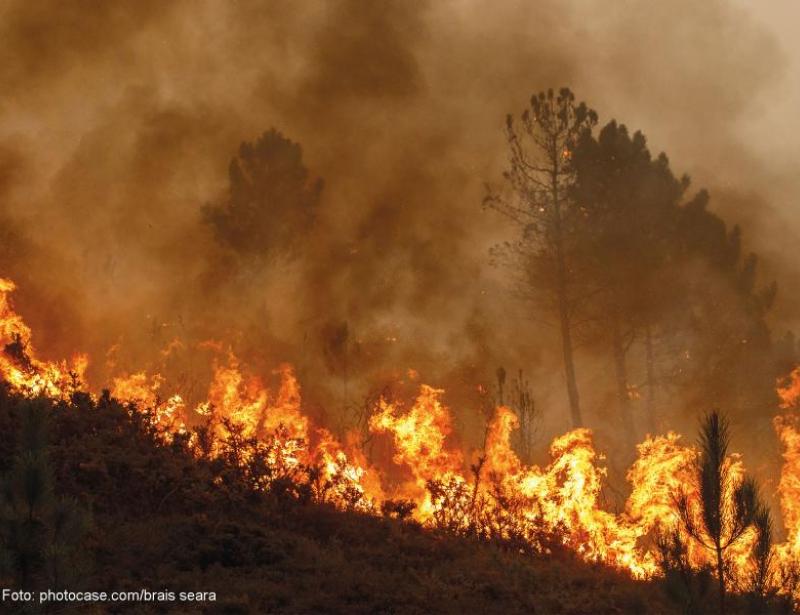 Die Welt im Krisenmodus