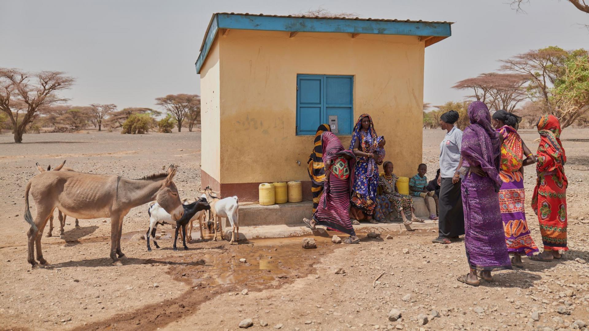 Frauen und Vieh stehen vor einem Wasserkiosk in einem Dorf in Kenia